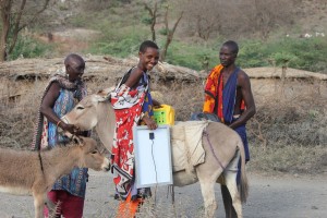 Women mounting the solar panels on donkeys